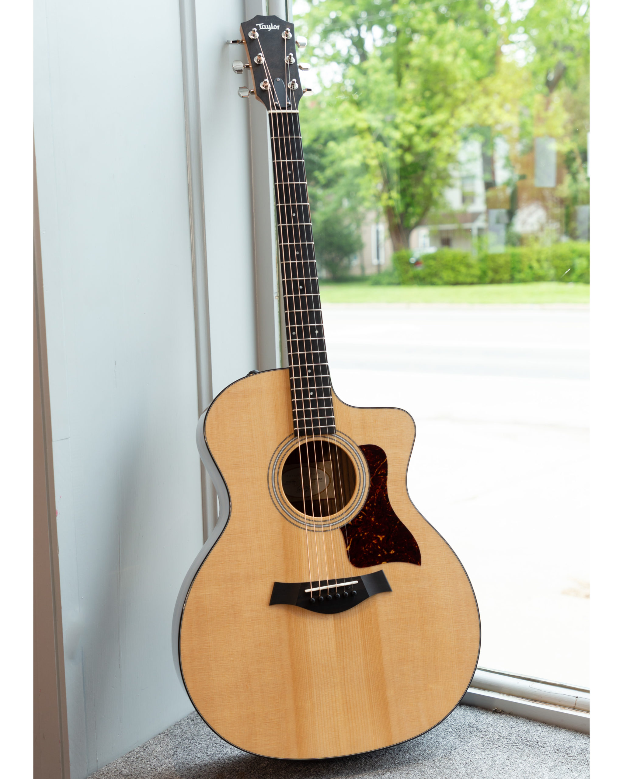 Taylor Acoustic Guitars - 214ce Plus