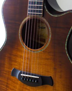 Taylor Acoustic Guitars - K24ce Builder's Edition
