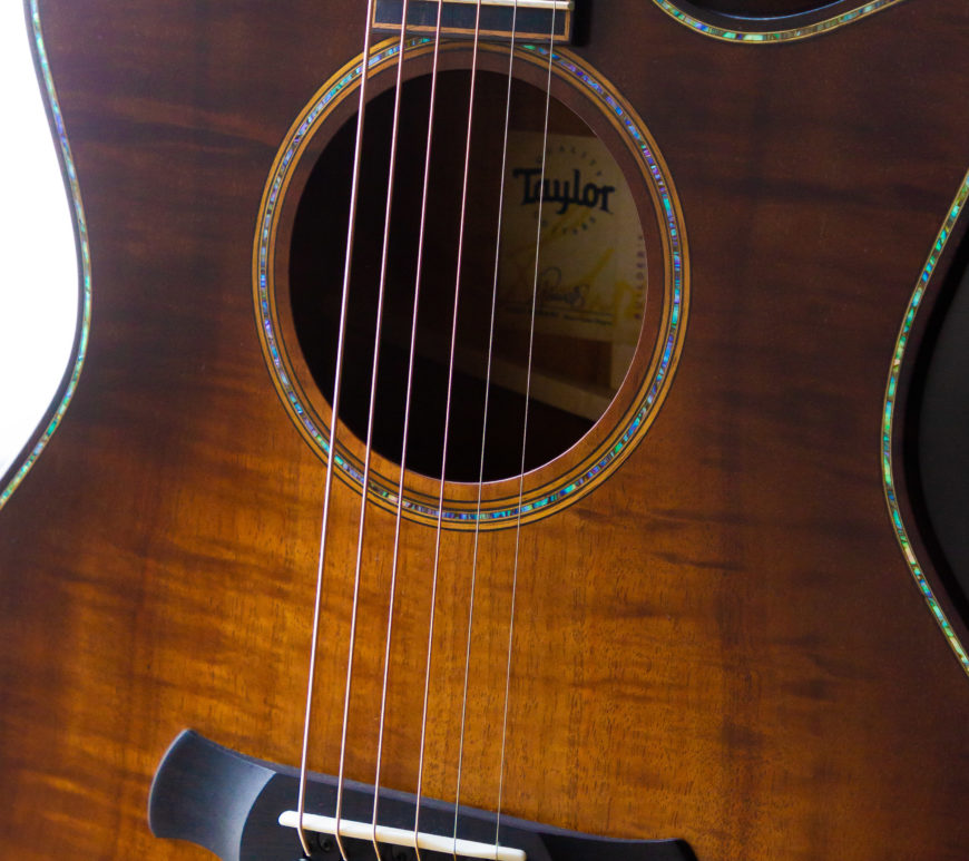 Taylor Acoustic Guitars - K24ce Builder's Edition