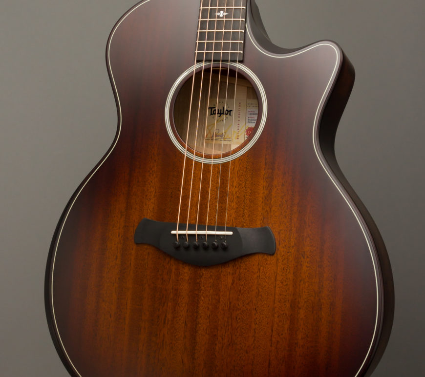 Taylor 314ce Builder's Edition