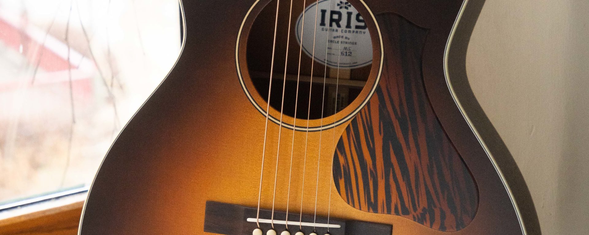 Iris Guitars